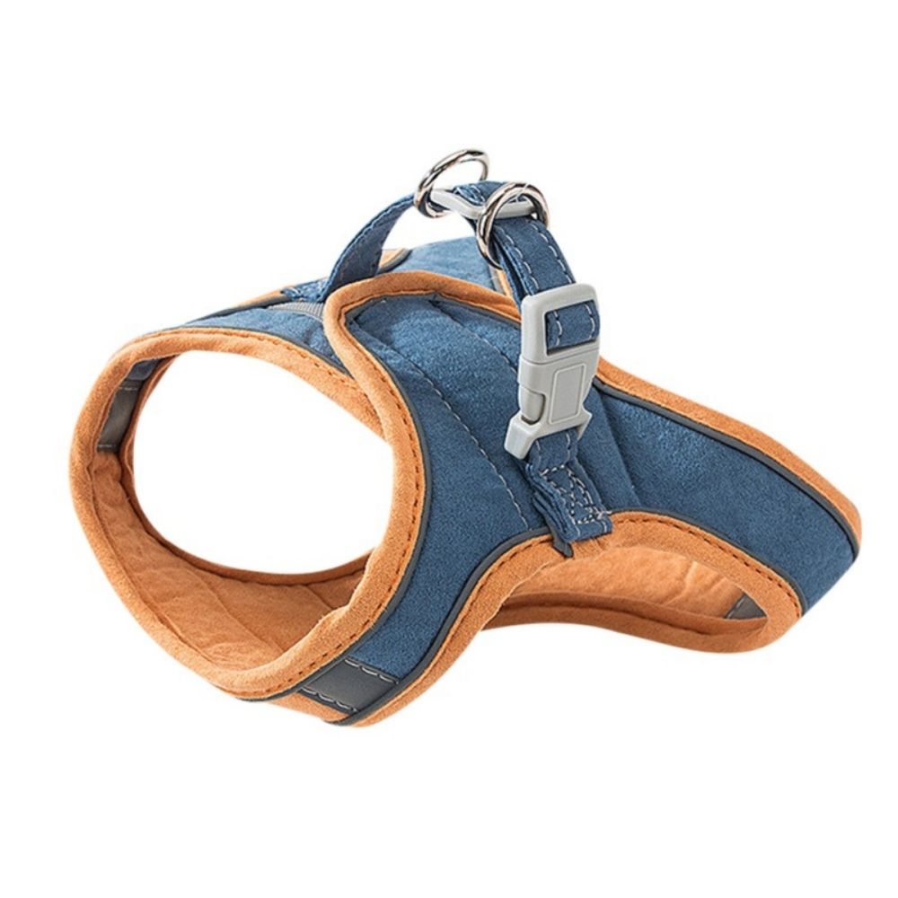 Cat harness - Oscar-Blue | Orange-S-Nora Luxe