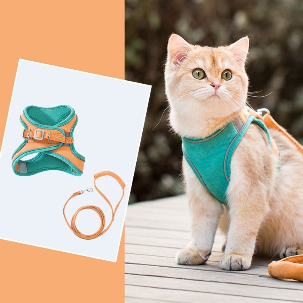 Cat harness - Oscar-Orange | Teal-S-Nora Luxe