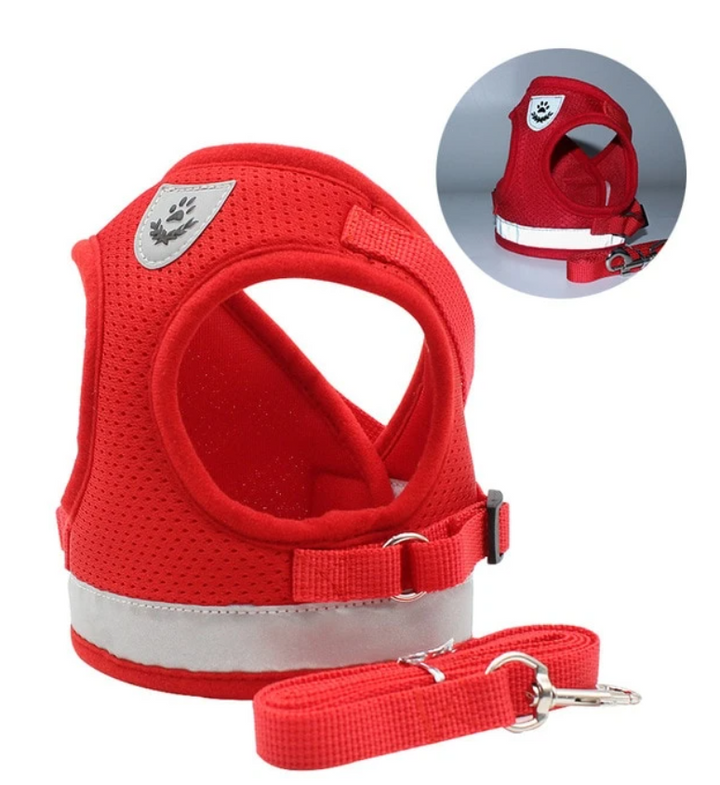 Cat harness with leash - AdventureKit-Black-S-Nora Luxe