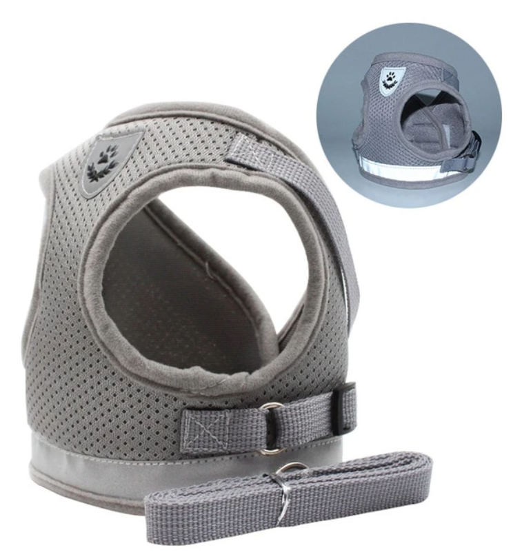 Cat harness with leash - AdventureKit-Black-S-Nora Luxe