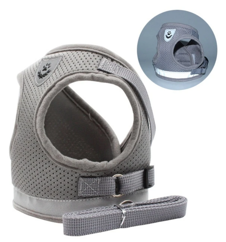 Cat harness with leash - AdventureKit-Black-S-Nora Luxe