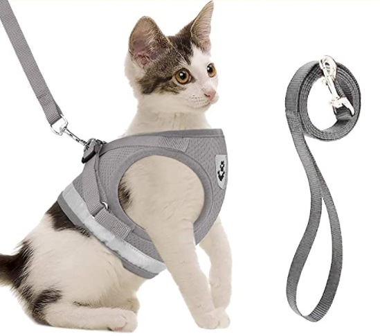 Cat harness with leash - AdventureKit-Black-S-Nora Luxe