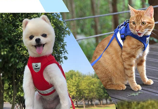 Cat harness with leash - AdventureKit-Black-S-Nora Luxe