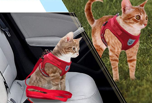 Cat harness with leash - AdventureKit-Black-S-Nora Luxe