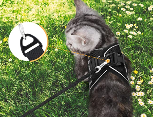 Cat harness with leash - AdventureKit-Black-S-Nora Luxe