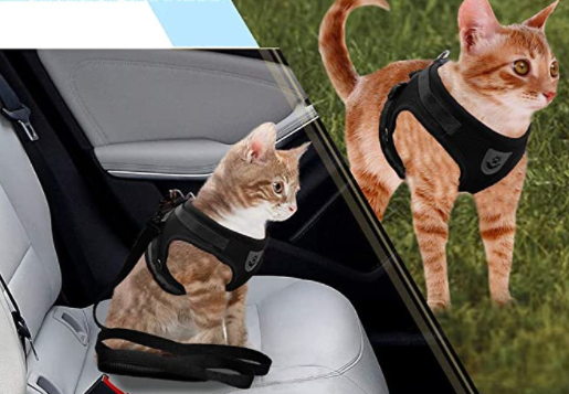 Cat harness with leash - AdventureKit-Black-S-Nora Luxe