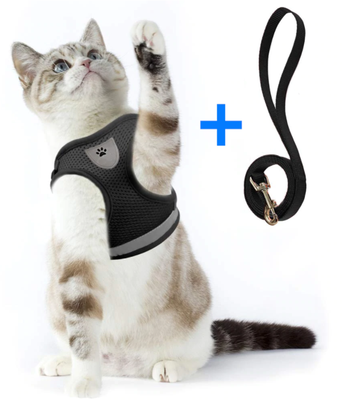 Cat harness with leash - AdventureKit-Black-S-Nora Luxe