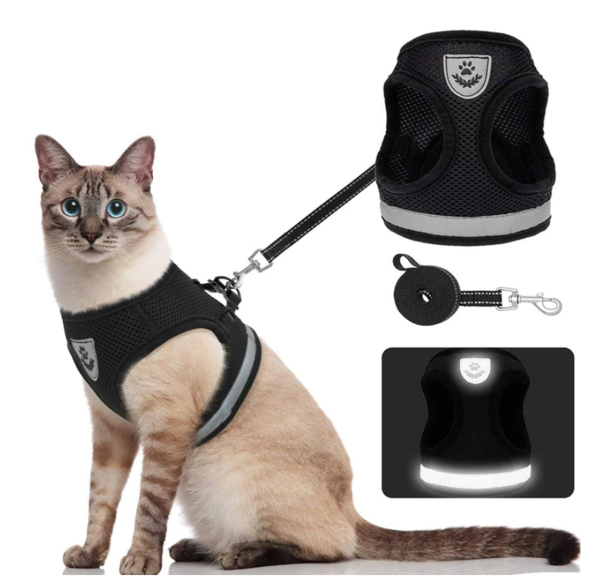 Cat harness with leash - AdventureKit-Black-S-Nora Luxe