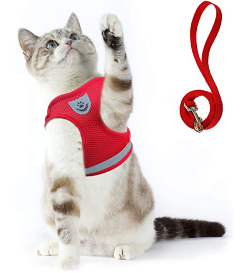 Cat harness with leash - AdventureKit-Red-S-Nora Luxe