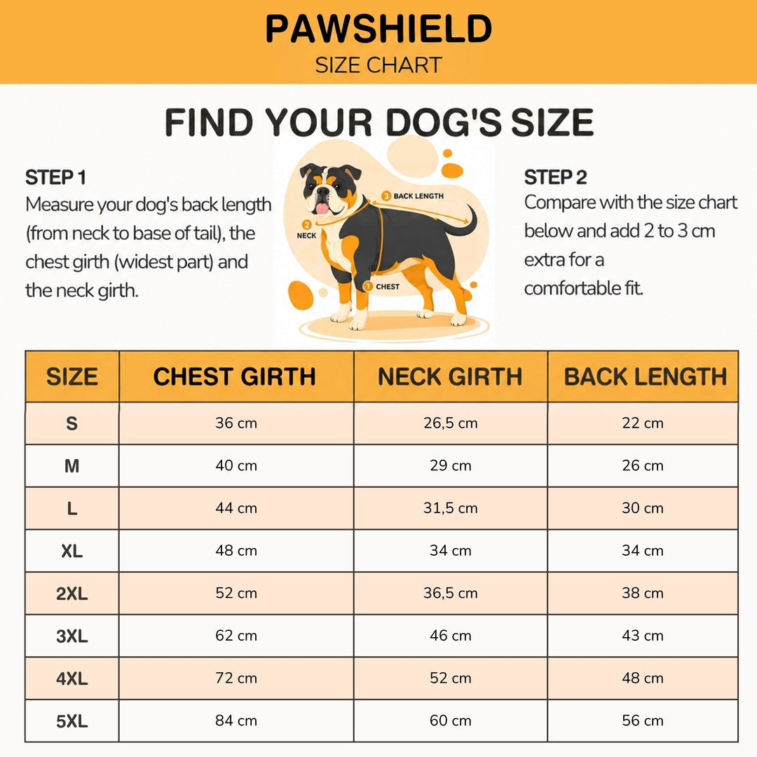 Size chart with a measuring diagram of a dog and a table of chest, neck and back lengths 10