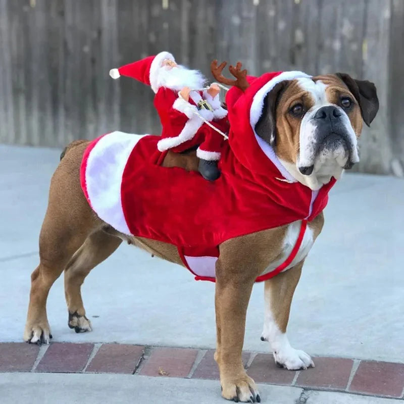 Christmas Costume for Dogs - SantaPaws-Nora Luxe