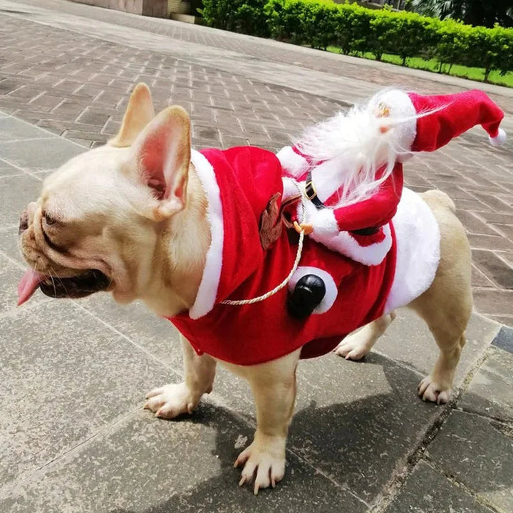 Christmas Costume for Dogs - SantaPaws-Nora Luxe