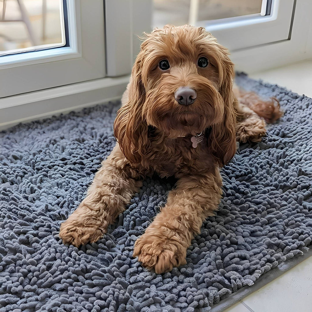 Grey chenille dog doormat with a fluffy red-brown dog lying beside a white door