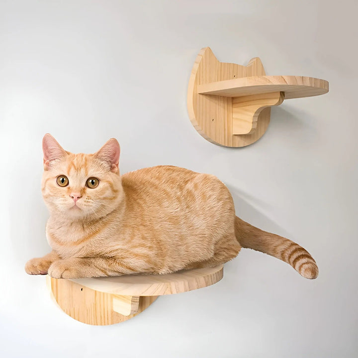 Climbing Wall Shelf for Cats with Scratching Post - ClimbPaws-First Step-Nora Luxe
