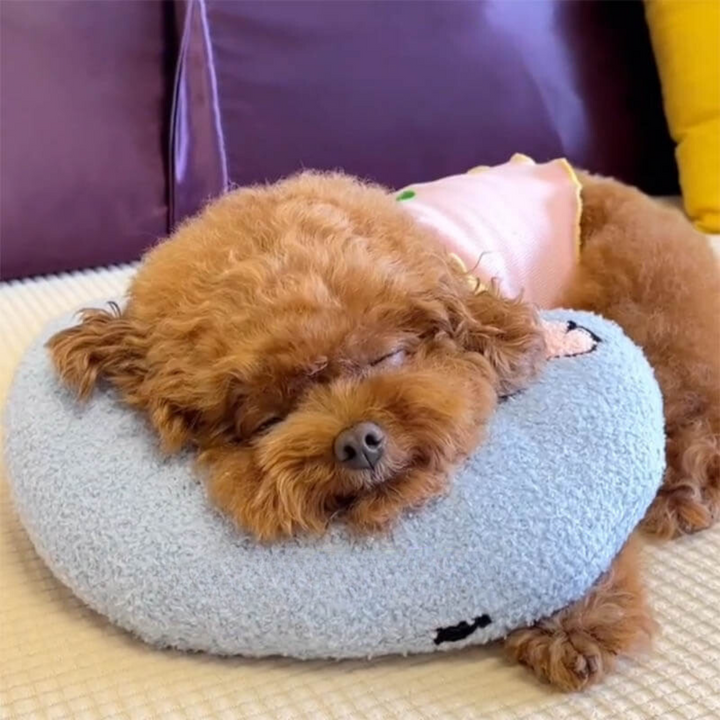 Comfortable Cushion for Dogs - CalmNest-Blue-Nora Luxe