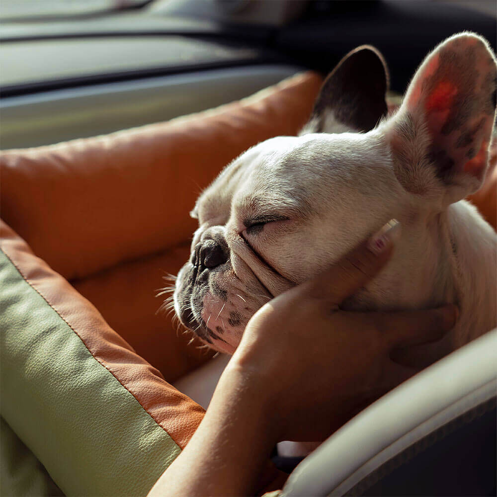 Comfortable Dog Car Seat - PawLuxury-Orange Green-Nora Luxe