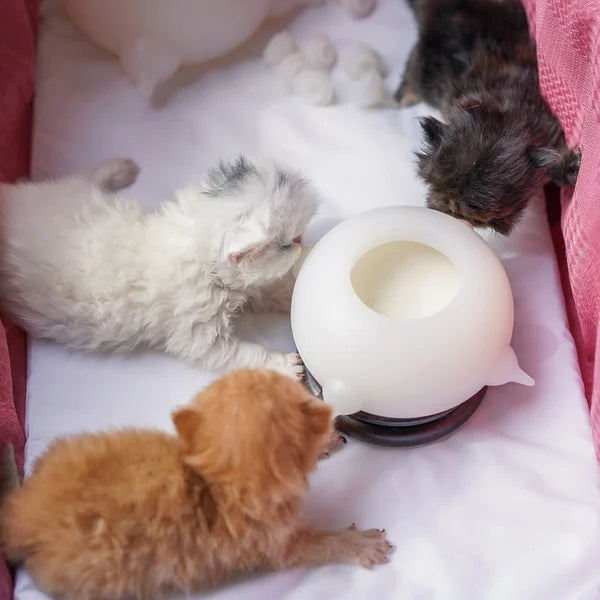 Compact Milk Bowl for Kittens - KittySip-Pink-Nora Luxe