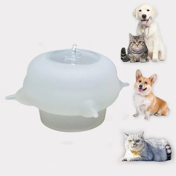 Compact Milk Bowl for Kittens - KittySip-Pink-Nora Luxe