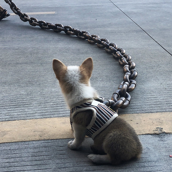 Cool and Funny Dog Leash - PawChic-Bronze-4.92 ft-Nora Luxe