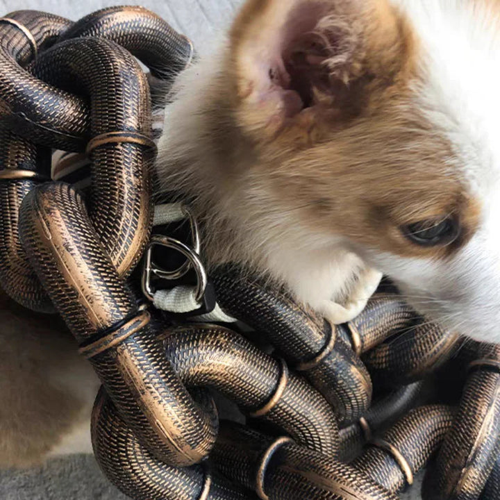 Cool and Funny Dog Leash - PawChic-Bronze-4.92 ft-Nora Luxe