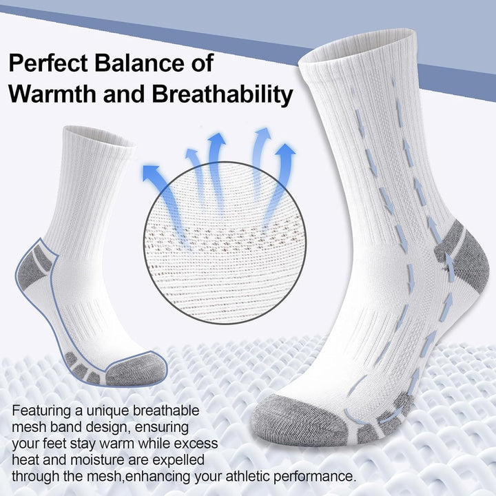 Cotton Sports Socks Unisex (6 Pairs) - Robin-Black-S - 6.5-8.5-Nora Luxe