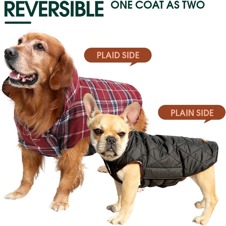 Cozy Waterproof Dog Jacket – Winter Coat in British Style-Red-S-Nora Luxe