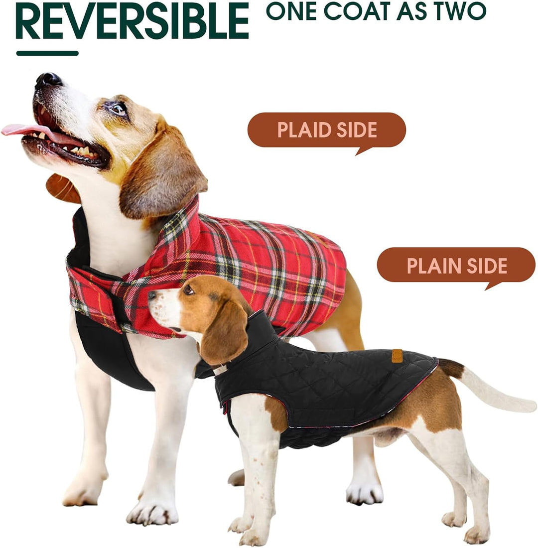 Cozy Waterproof Dog Jacket – Winter Coat in British Style-Red-S-Nora Luxe