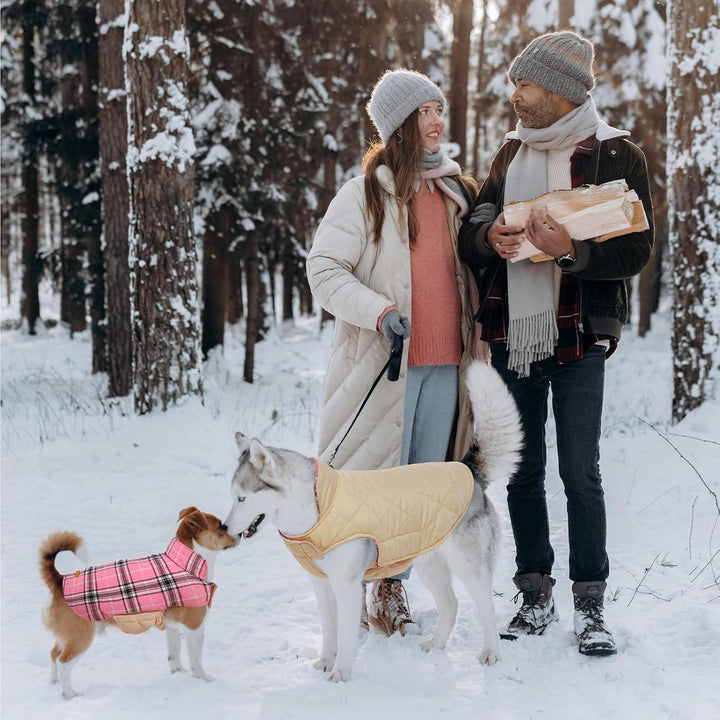 Cozy Waterproof Dog Jacket – Winter Coat in British Style-Red-S-Nora Luxe