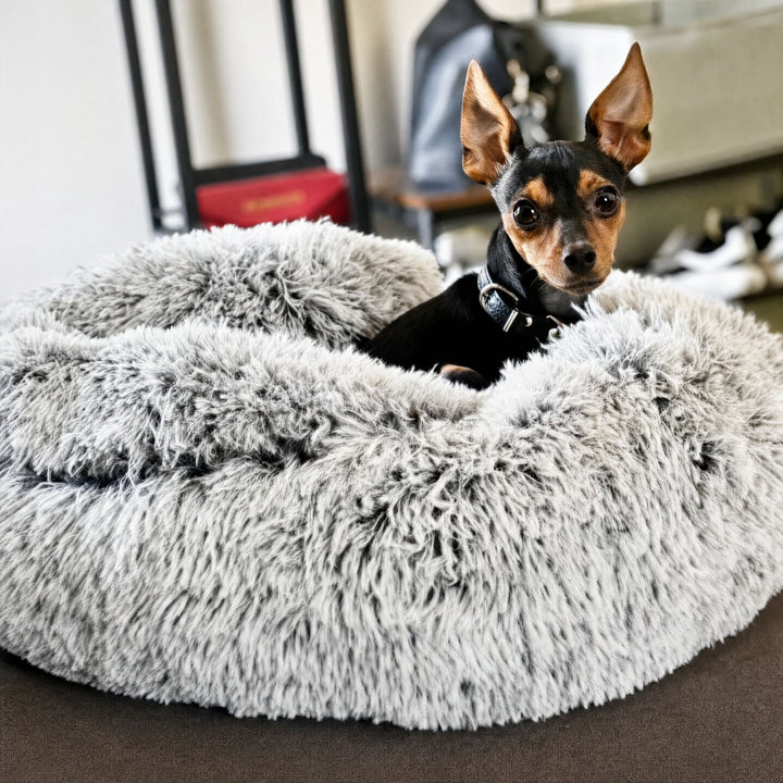 Gray frosted-tip plush donut bed with the hood folded back