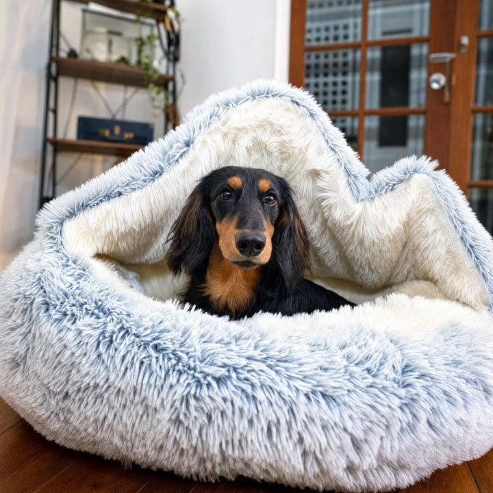 Light blue and white fluffy hooded bed with the hood draped over it
