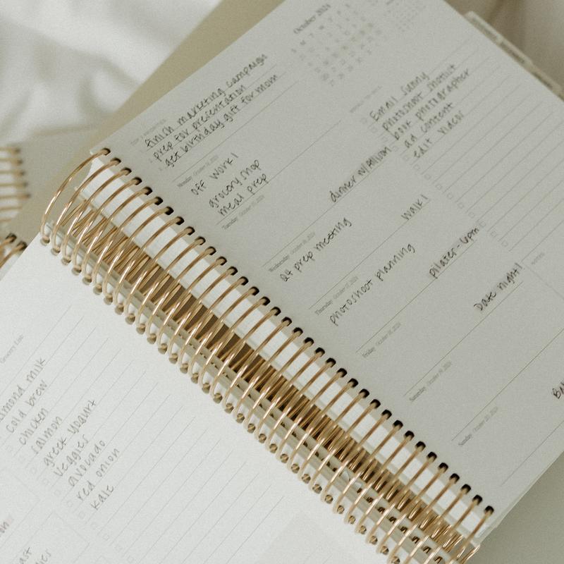 Daily Planner 24-25 - PlanEase-Nora Luxe