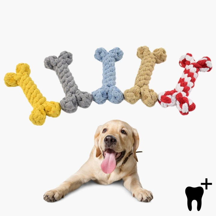 Dental Care Chew Bone for Dogs - CleanChew-Gray-Nora Luxe