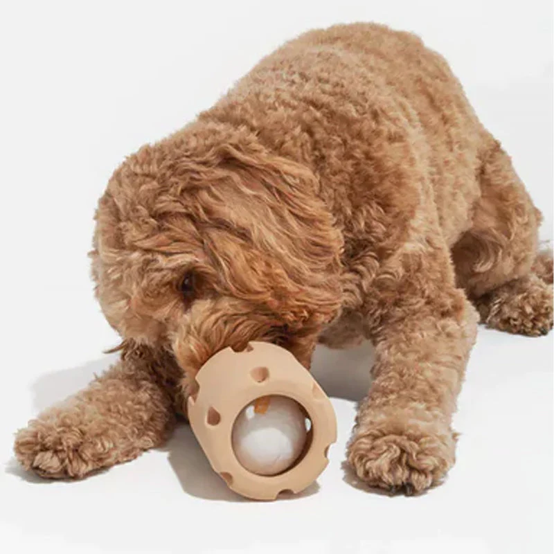 Dental Care Toys for Dogs - BounceChew-Purple-Nora Luxe