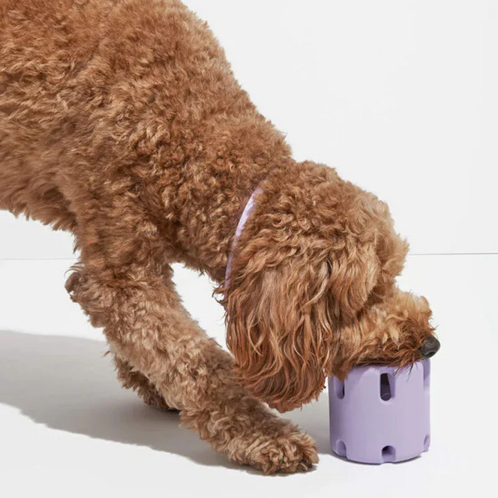 Dental Care Toys for Dogs - BounceChew-Purple-Nora Luxe