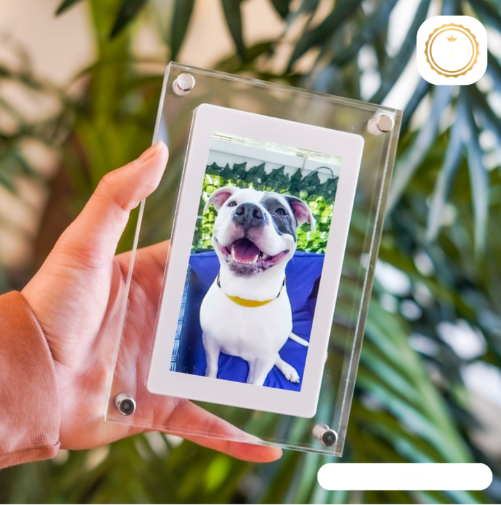 Digital Photo Frame - GlowFrame-4.92 inches-Nora Luxe