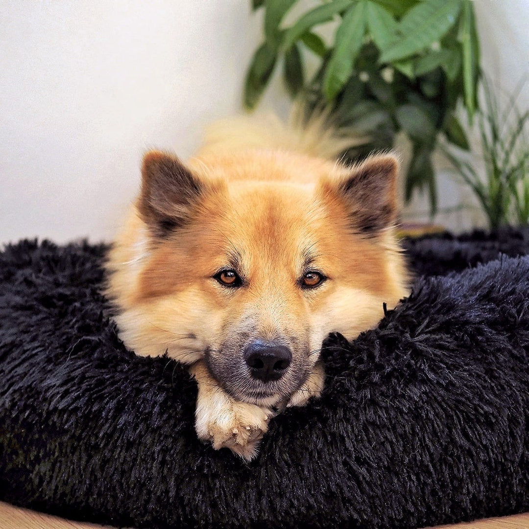 Dog Bed Fluffy Plus - The Original-Black-XXS - 19.7in-Nora Luxe