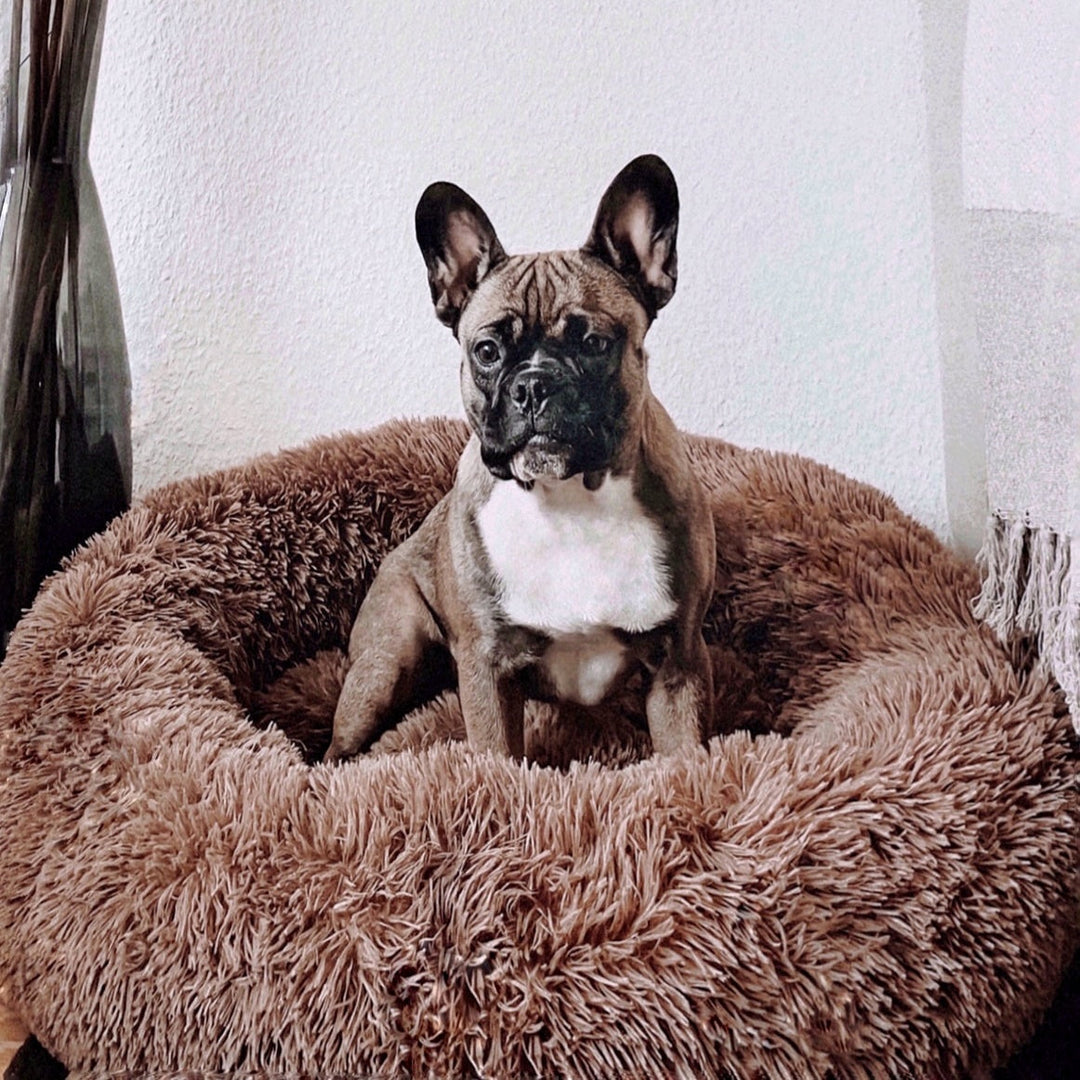 Dog Bed Fluffy Plus - The Original-Brown-XXS - 19.7in-Nora Luxe