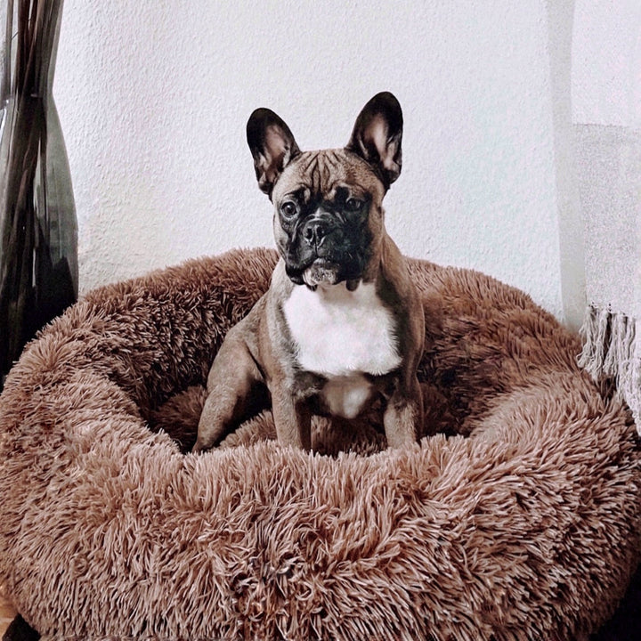 Dog Bed Fluffy Plus - The Original-Brown-XXS - 19.7in-Nora Luxe