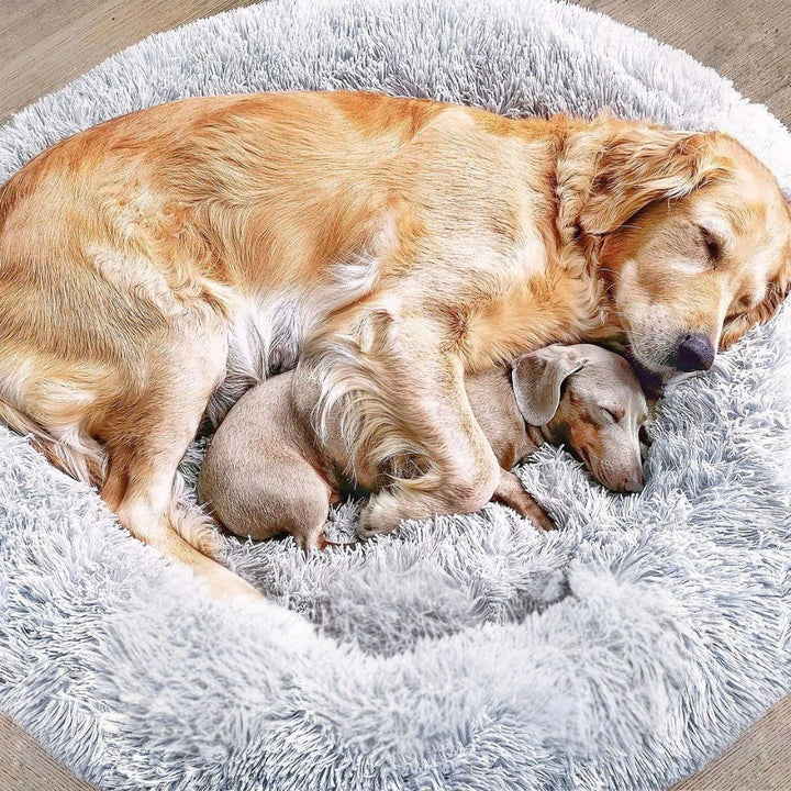Dog Bed Fluffy Plus - The Original-Gray-XXS - 19.7in-Nora Luxe