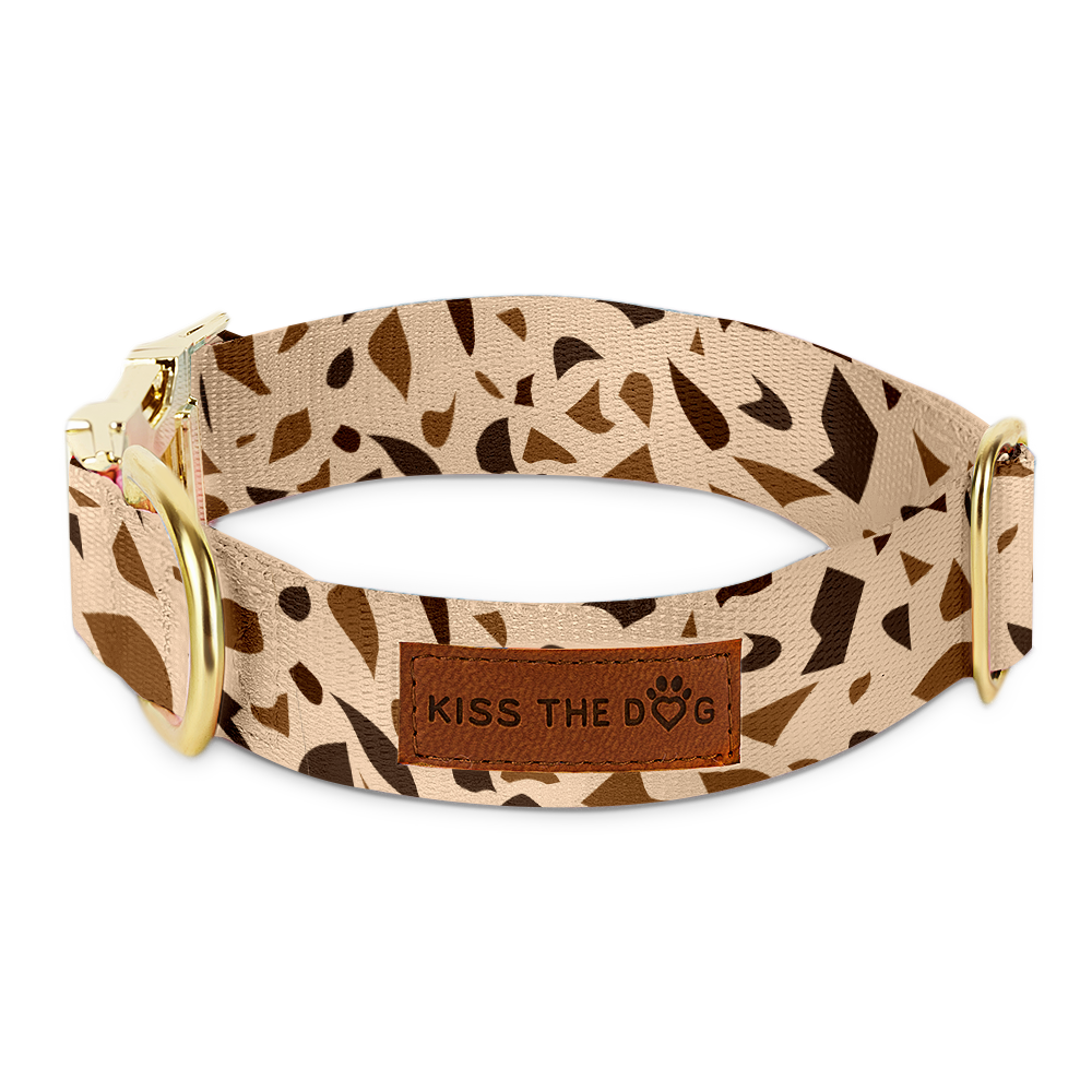 Dog Collar with Golden Accents – GoldenTerra-XS / 0.59 in-Nora Luxe