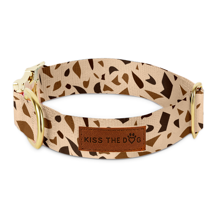 Dog Collar with Golden Accents – GoldenTerra-XS / 0.59 in-Nora Luxe