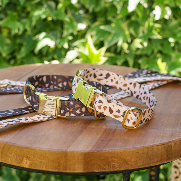 Dog Collar with Golden Accents – GoldenTerra-XS / 0.59 in-Nora Luxe