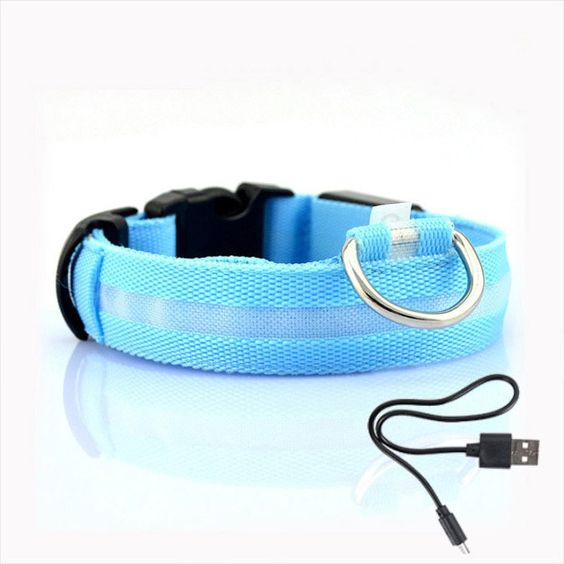 Dog collar with LED lighting - GlowCollar-Blue-XS-Nora Luxe
