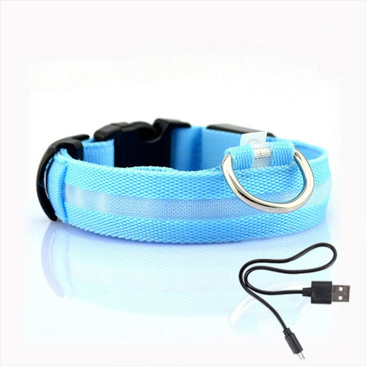 Dog collar with LED lighting - GlowCollar-Blue-XS-Nora Luxe