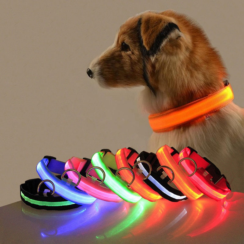 Dog collar with LED lighting - GlowCollar-Red-XS-Nora Luxe
