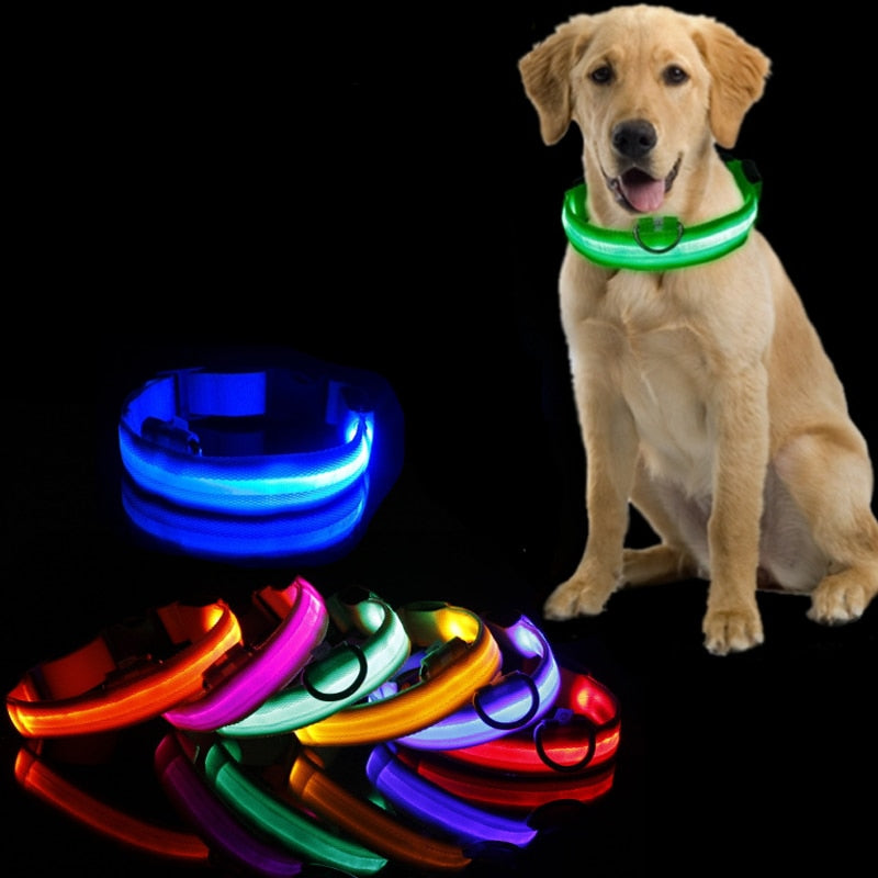 Dog collar with LED lighting - GlowCollar-Yellow-XS-Nora Luxe