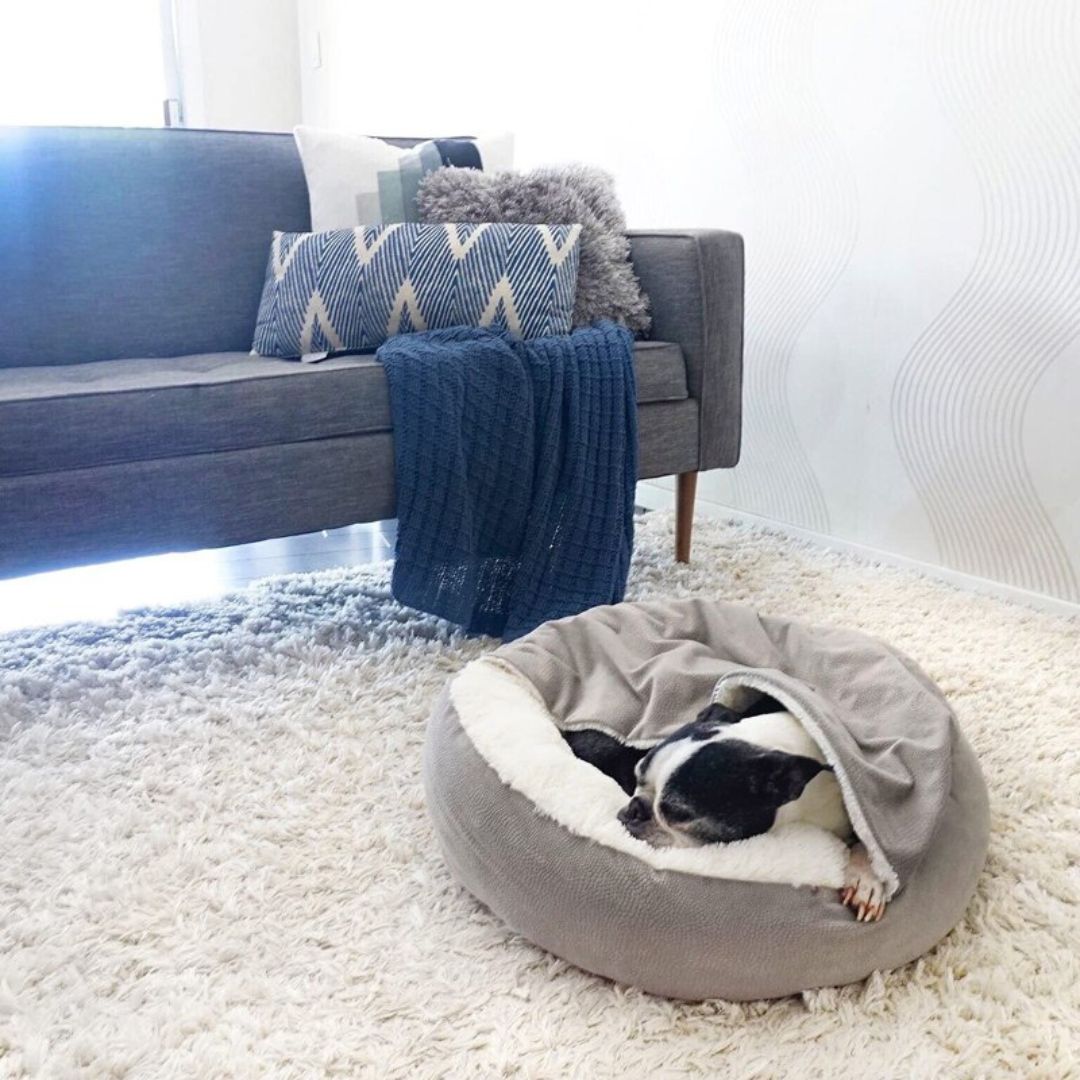 Dog Cuddle Cave - SnuggleNest-Gray-S (25.59 inches)-Nora Luxe