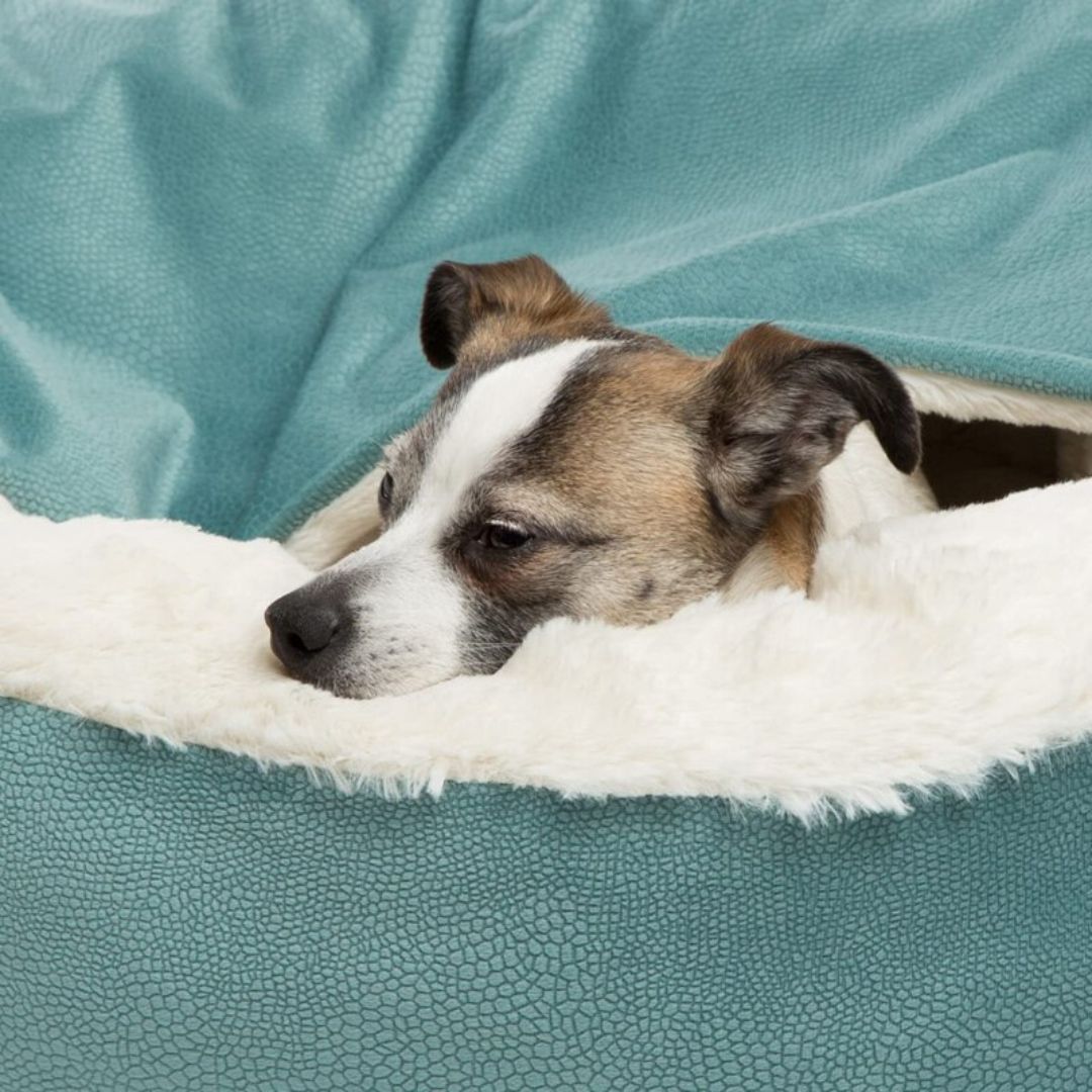 Dog Cuddle Cave - SnuggleNest-Gray-S (25.59 inches)-Nora Luxe