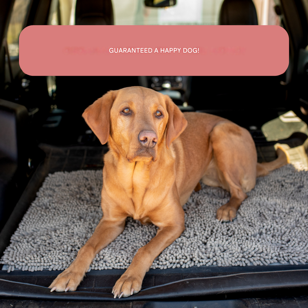 Dog Entrance Mat - Boris-Gray-S-Nora Luxe