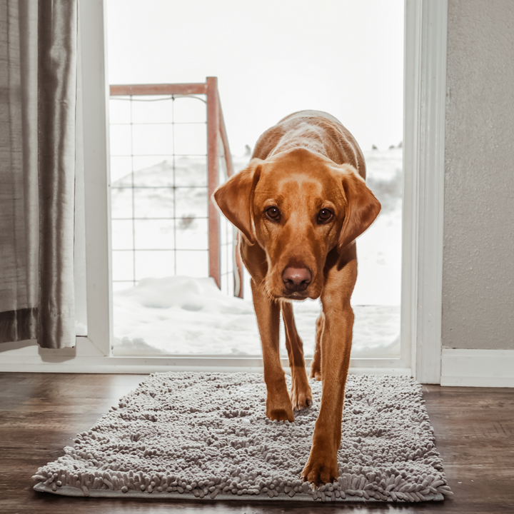 Dog Entrance Mat - Boris-Gray-S-Nora Luxe